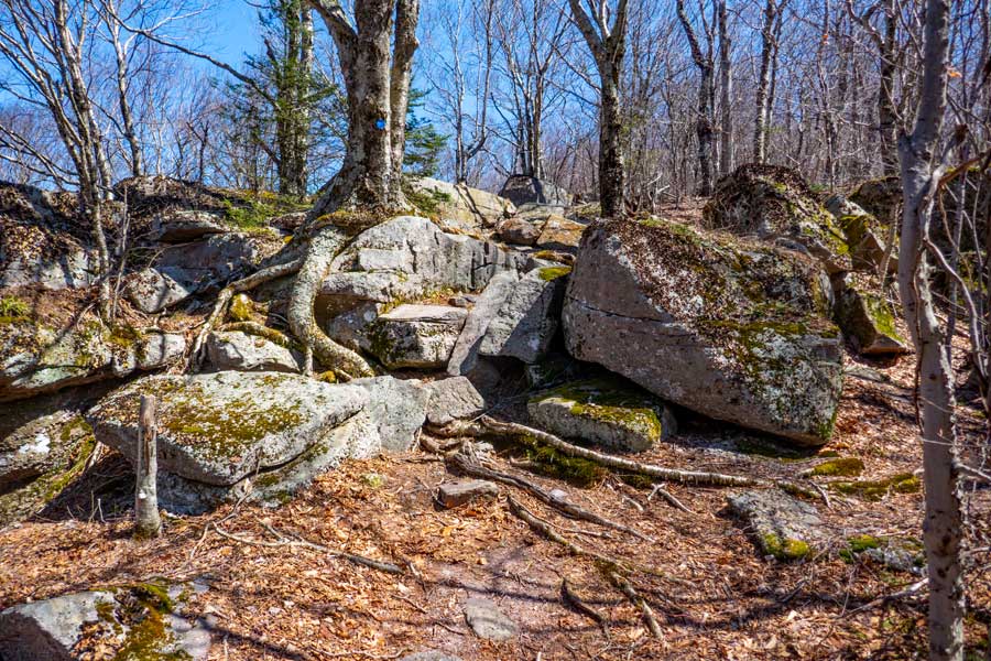 point where you can get a view of Van Wyck Mountain from the Peekamoose Table Trail