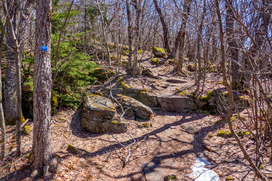 East ridge line of the Peekamoose Table Trail