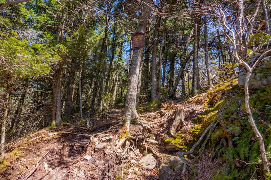 3500 DEC sign on the Peekamoose Table Trail
