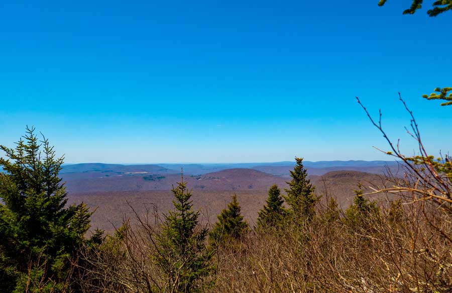 Summit of Peekamoose Mountain