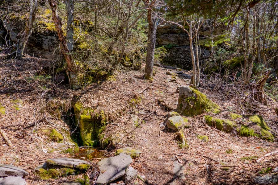 Water Spring along the as you approach the summit of Peekamoose Mountain