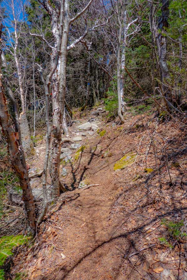 Peekamoose Table Trail flooded during the Spring months