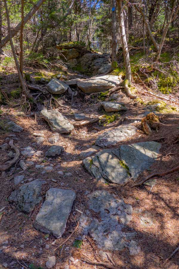 Small climbs up ledge rock along the Peekamoose Table Trail