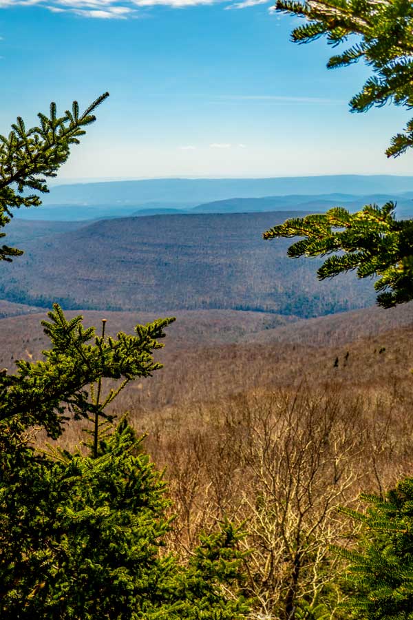 Near the highest elevation spot in the Peekamoose Table Trail
