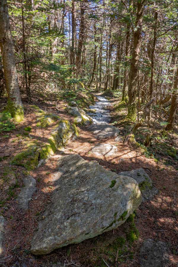 final section of Peekamoose Table Trail before you reach the summit of Peekamoose Mountain