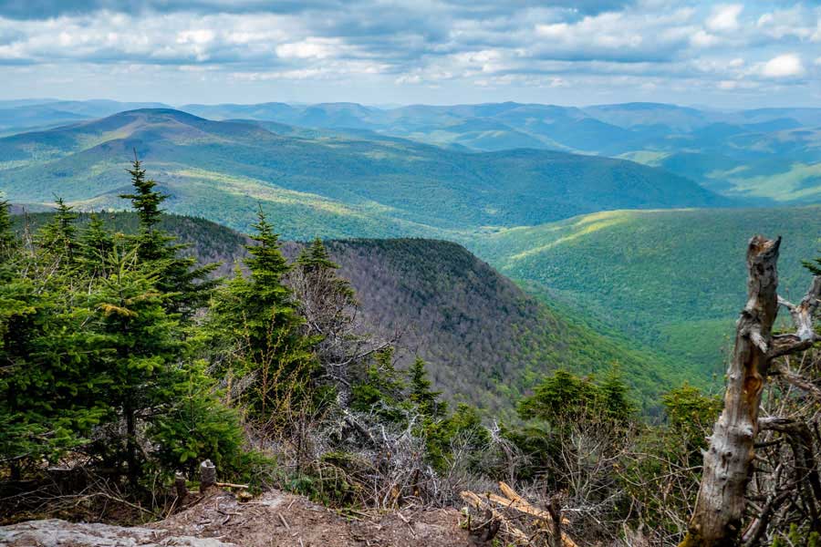 view from Slide mountain