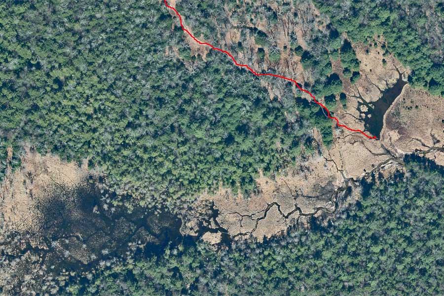 aerial view of Upper Balsam Swamp in the Vernooy Kill Falls region