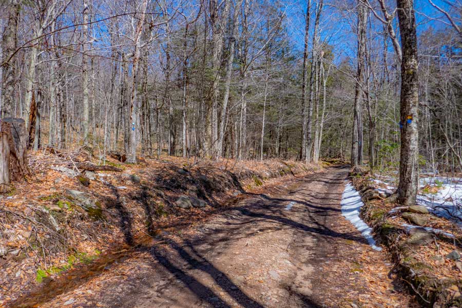 Trail Head for bangle Hill trail on Spencer Road in the Sundown Wild Forest