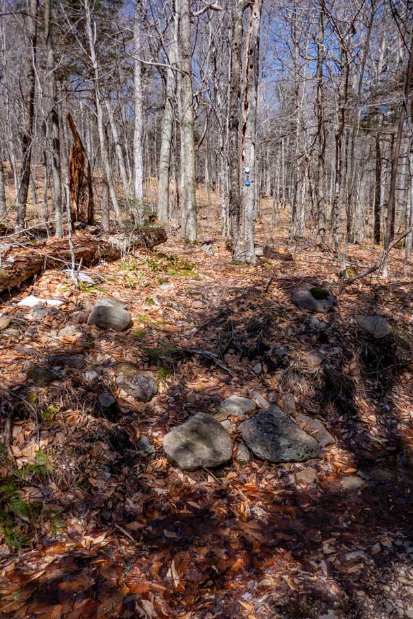 Trail Head for bangle Hill trail on Spencer Road in the Sundown Wild Forest