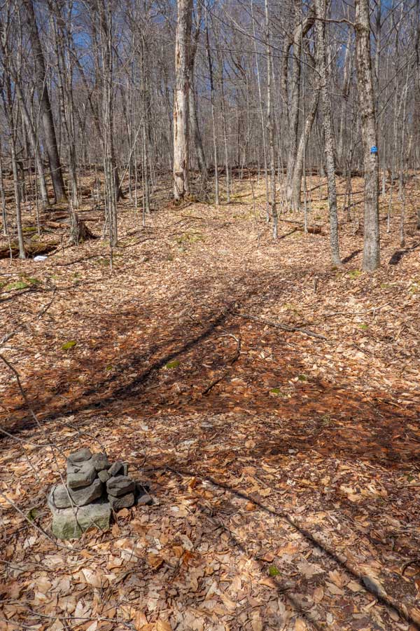 Trail Junction from Dirt Road to trail to Bangle Hill