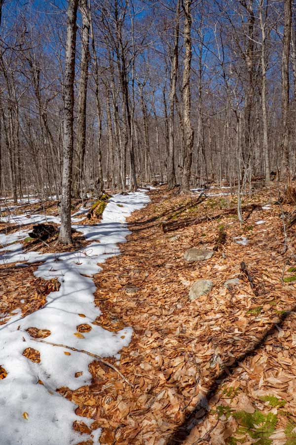 Near the highest elevation spot in the Bangle Hill Trail