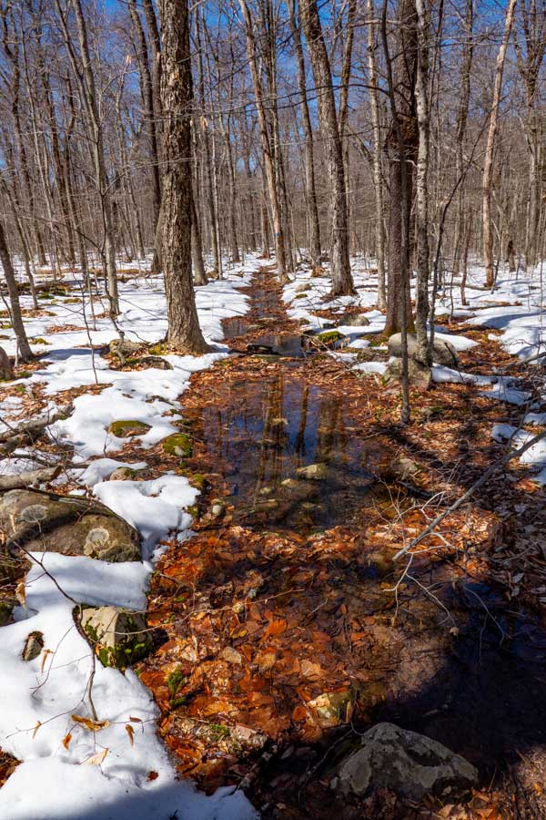 Bangle Hill Trail flooded during the Spring months