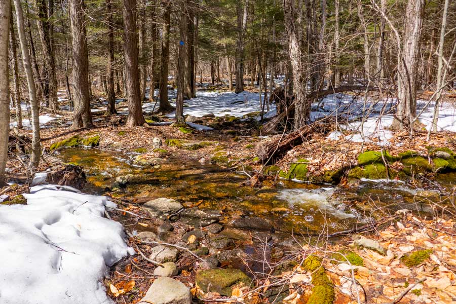 Second stream crossing on the hike from Spencer Road to Bangle Hill summit