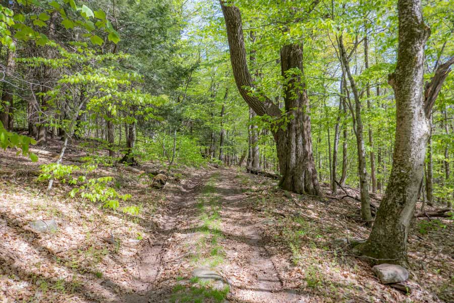 Denman Loop Trail