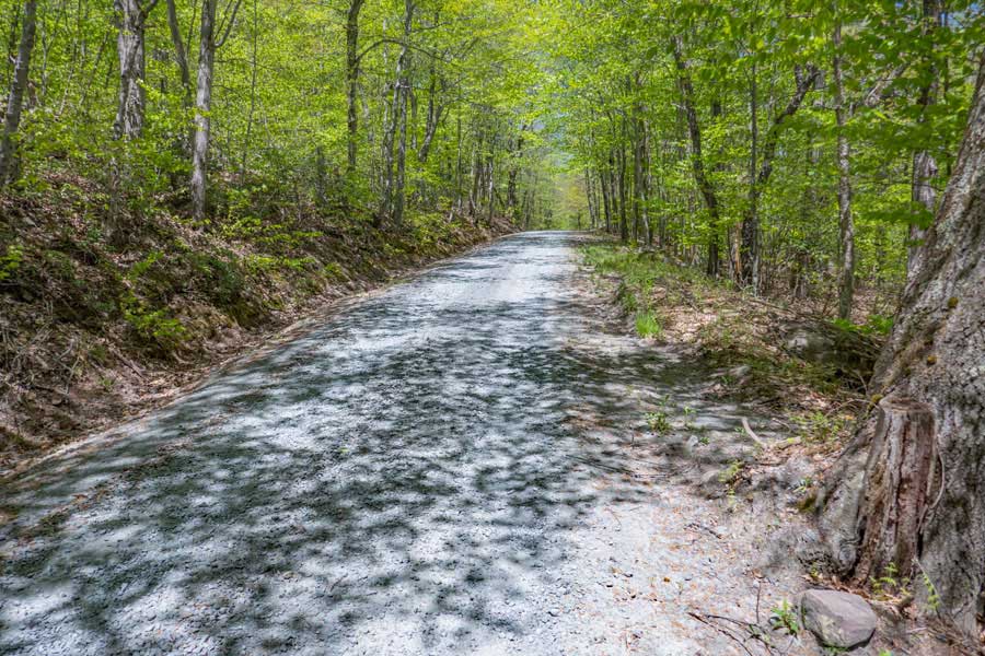 beginning of Moore Hill Road to the Denman Loop Trail