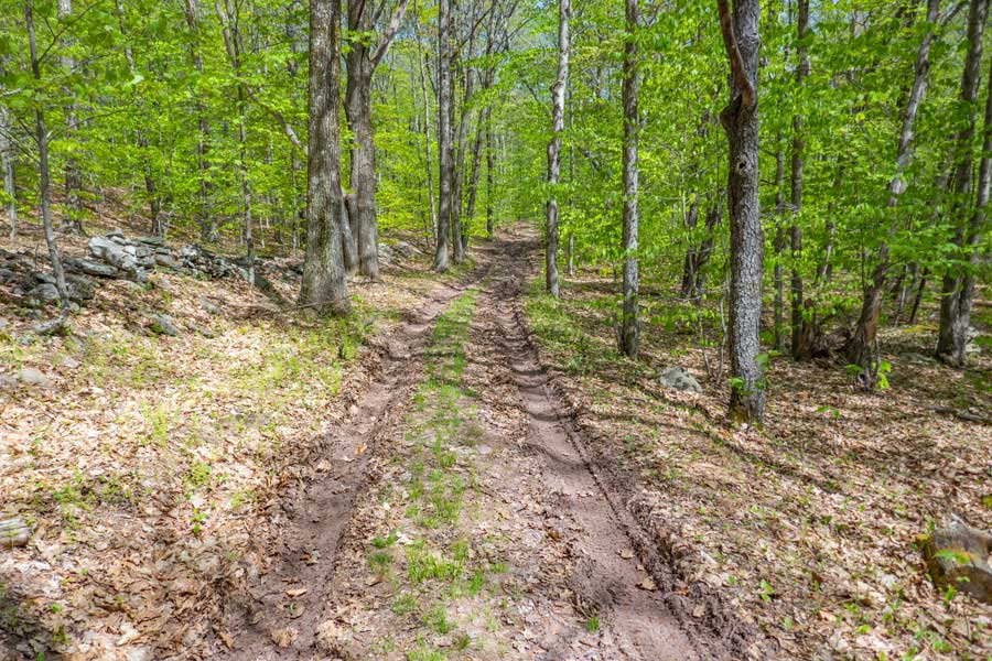 lower section of the Denman Loop Trail 
