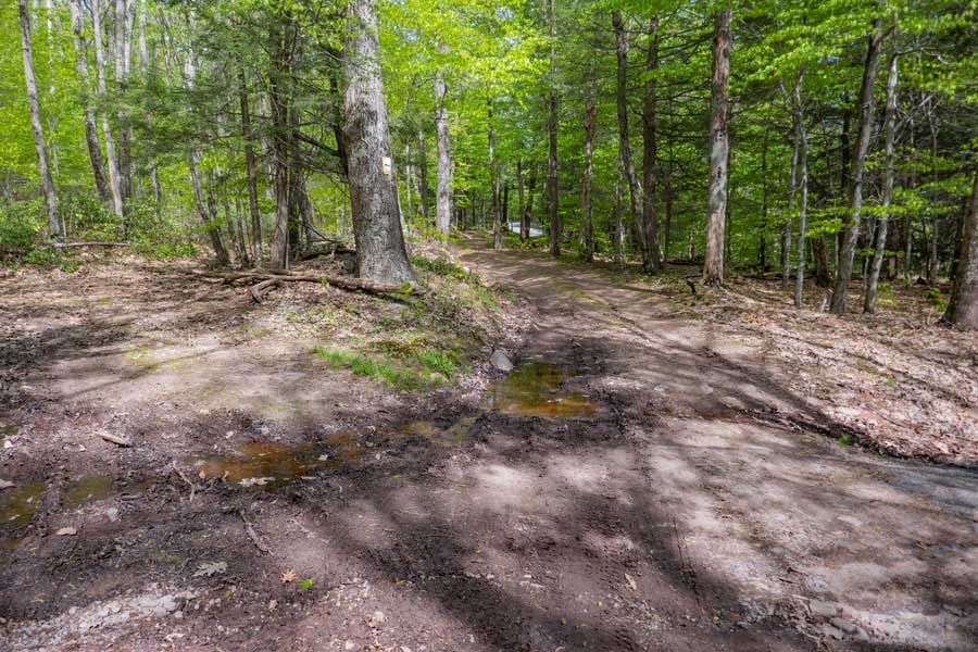 short spur of the lower section of the Denman Loop Trail 