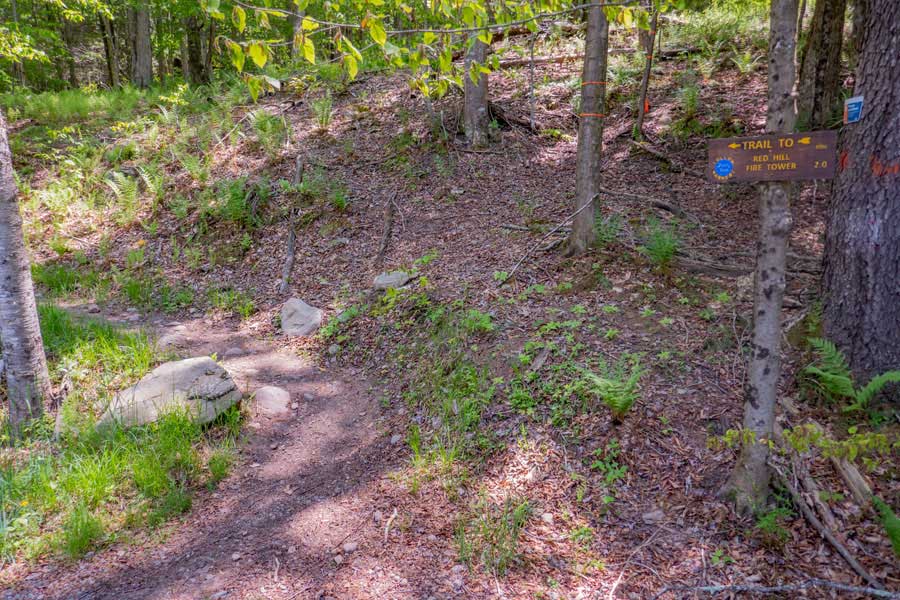 trail head for the Red Hill Fire Tower Trail