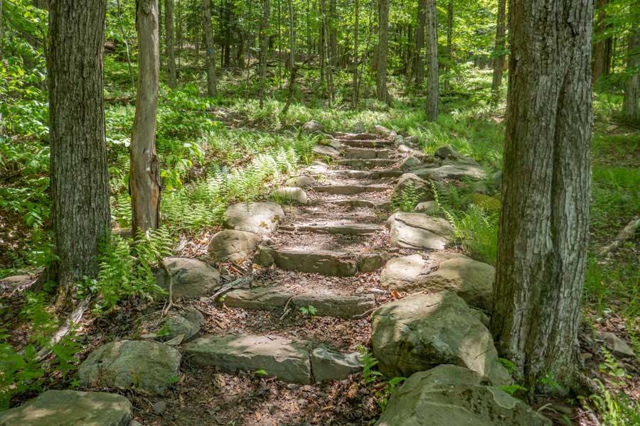 spiral stone stair case at the beginning of the trail to the Red Hill Fire Tower