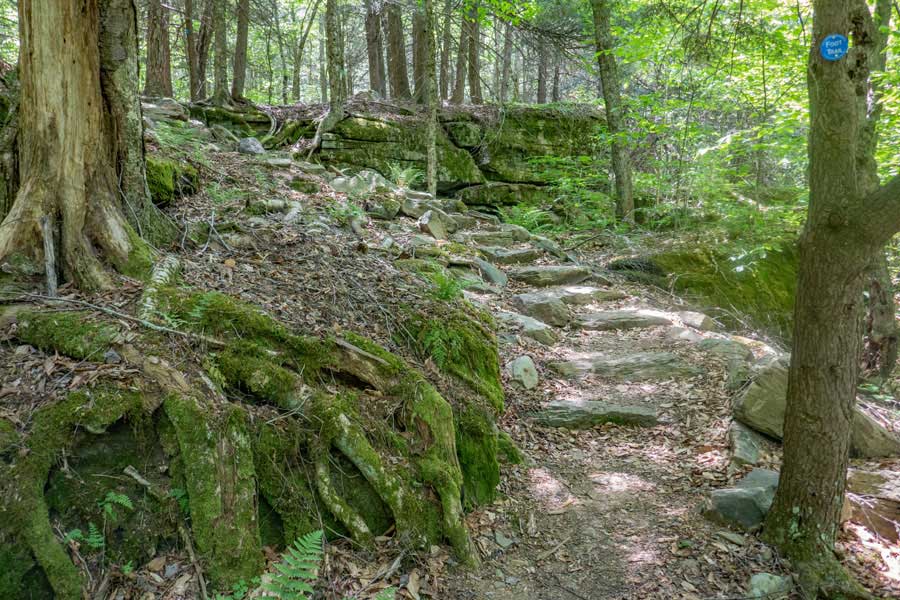 second spiral stone staircase on the hike to Red Hill Fire Tower