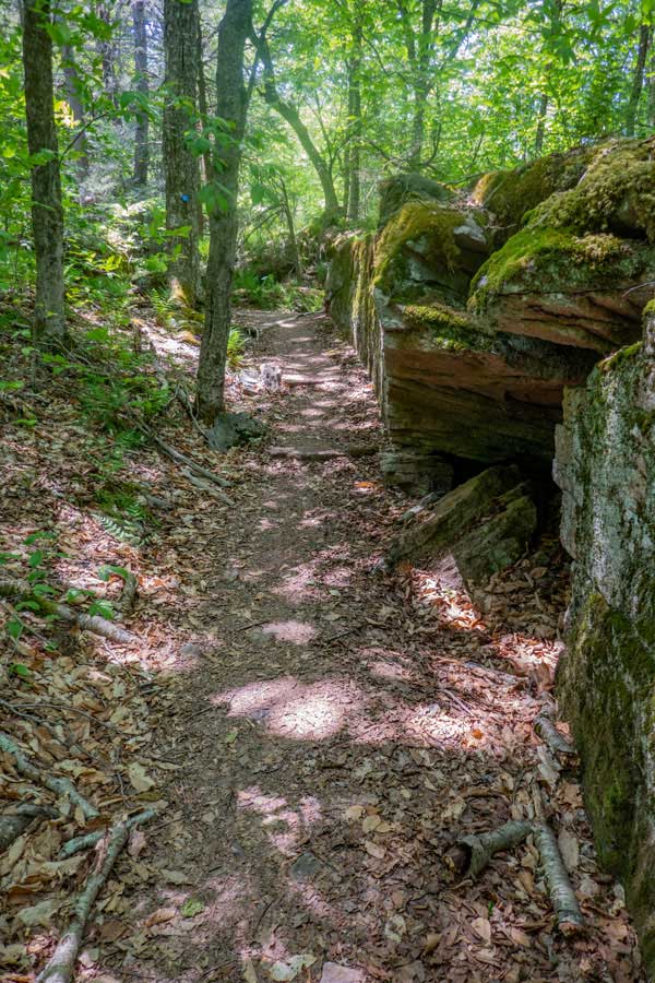 interesting rock on the Red Hill Fire Tower Trail