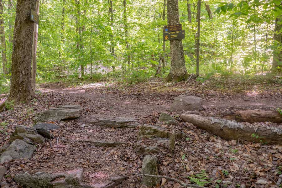 Trail Junction of the Red Hill Fire Tower Trail