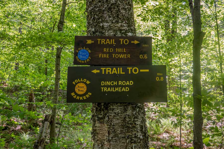 DEC signs at the trail junction on the Red Hill Fire Tower Trail