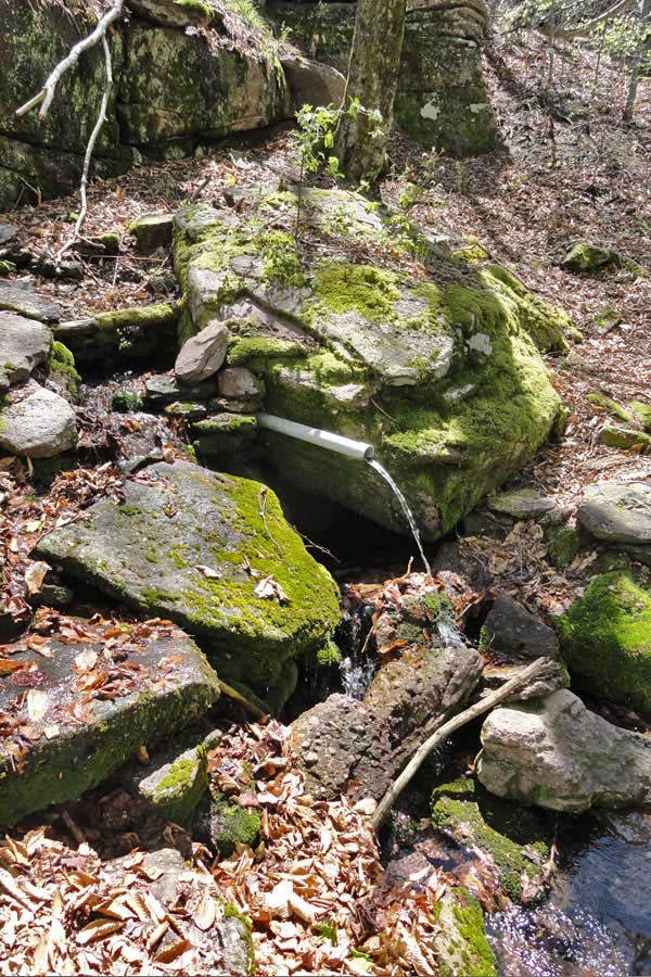 spring off the Red Hill Fire Tower trail