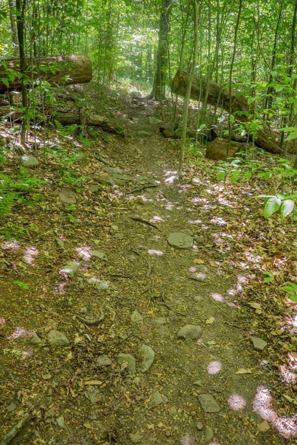 upper section of the Red Hill Fire Tower trail