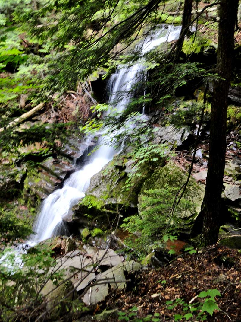 view of wildcat waterfalls #1 above the DEC trail