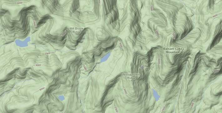 balsam lake mtn wild forest