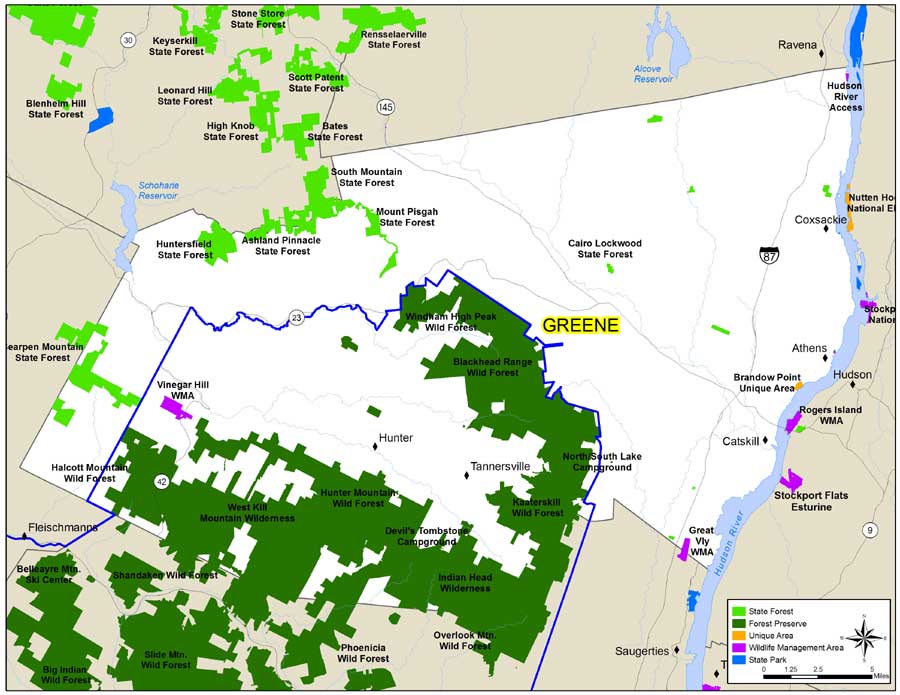 map of greene county new york