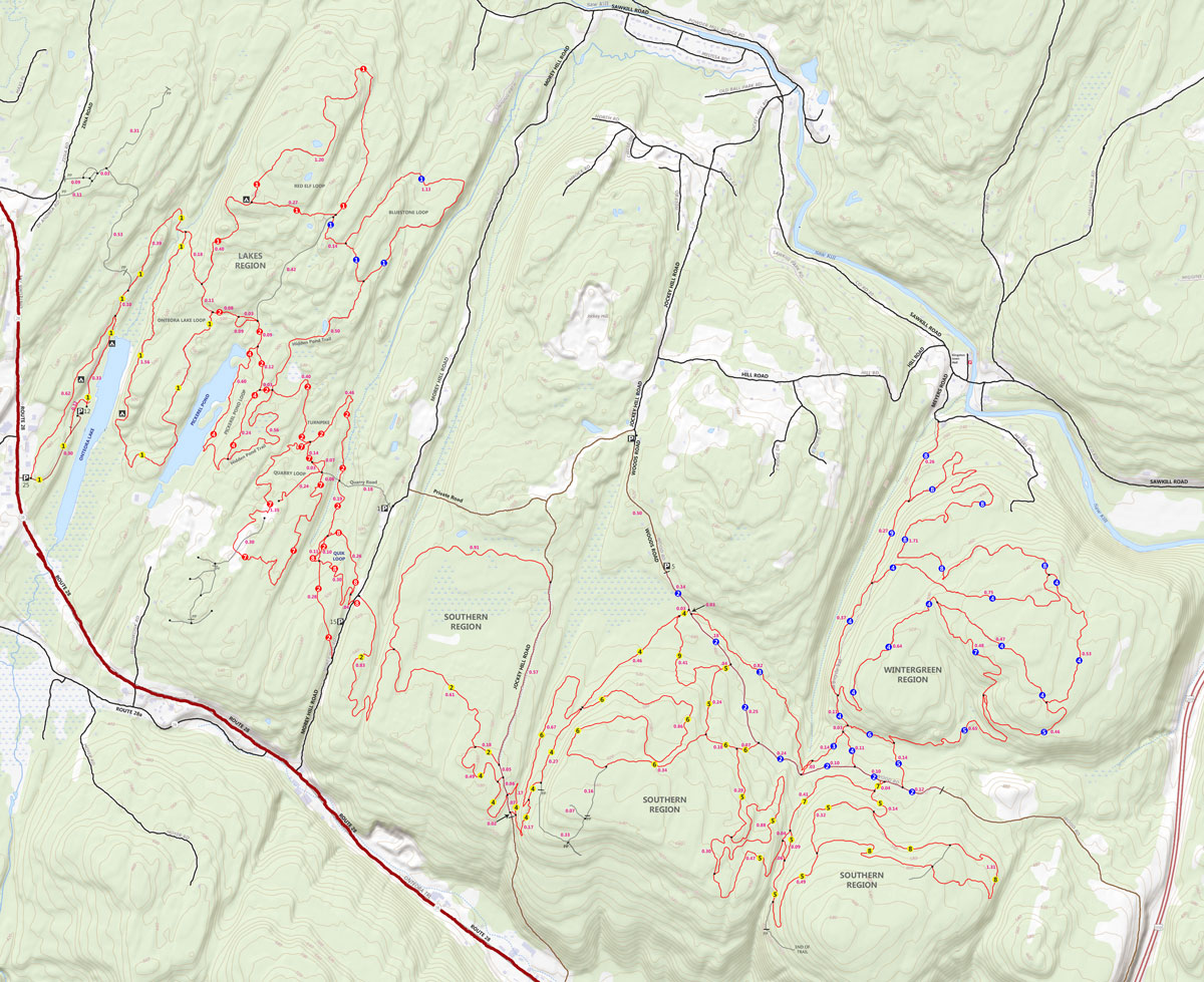 Bluestone wild forest