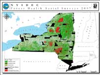 catskill park map