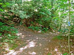 paul dodway escarpment trail dead hiker near Kaaterskill Falls