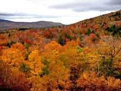 progress of the 2019 fall foliage in the Catskill Mountains