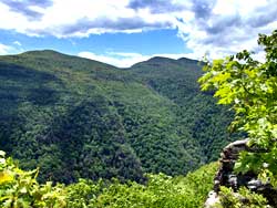 hiking death in devil's kitchen in platte clove william costello of delmar ny