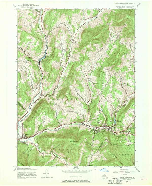 usgs top map of Fleischmanns quad