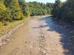 drought has plagued the catskill mountains causes ban on fishing in the Esopus Creek during fall of 2016