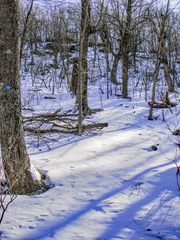 climb up ledge to Balsam Mountain summit region