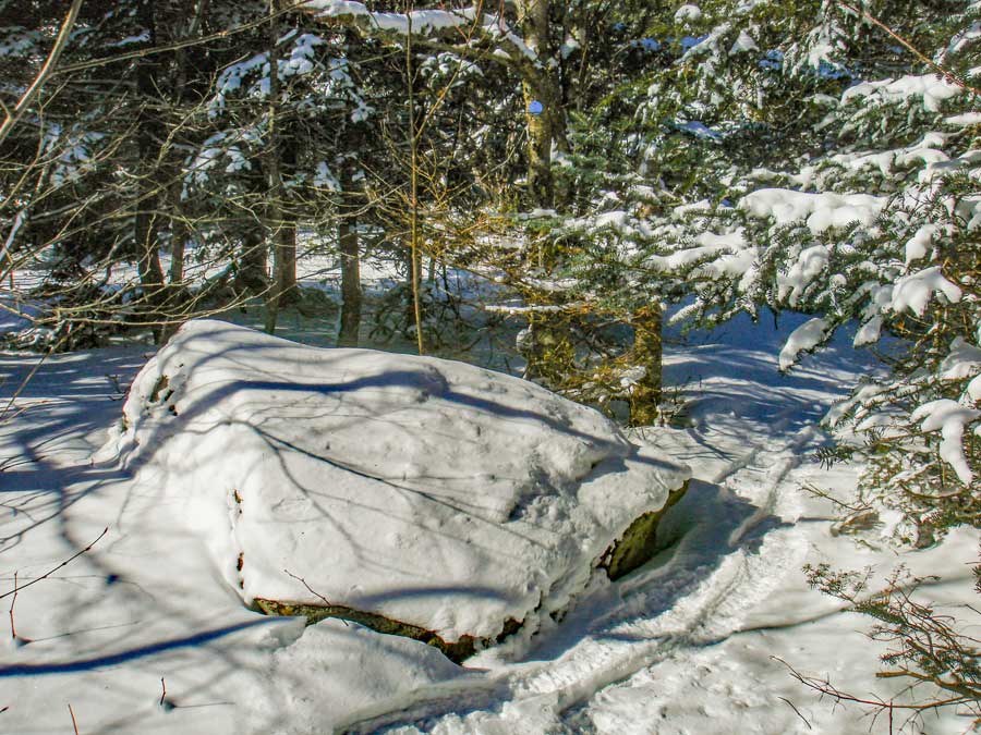 false summit of Balsam Mountain