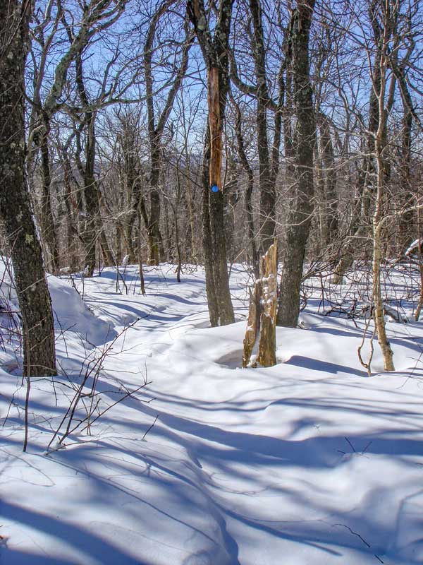 trail down the south side of Balsam Mountain