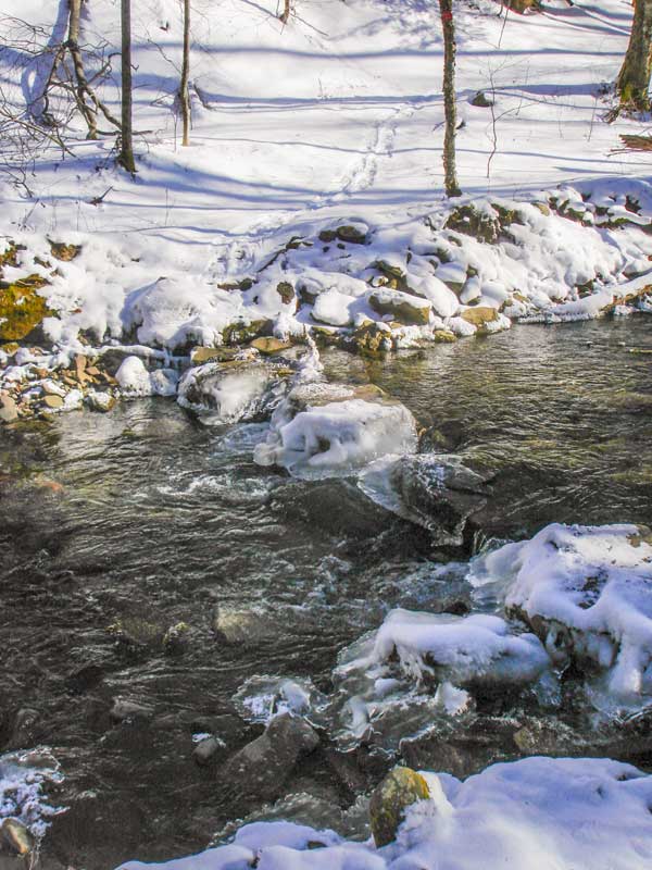 creek crossing on the western side of the McKenley Hollow Trail