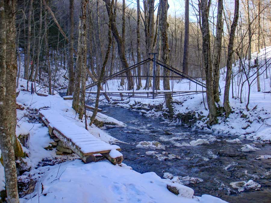 steel bridge on west side of the McKenley Hollow Trail on Balsam Mountain