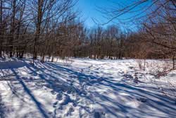 belleayre mountain