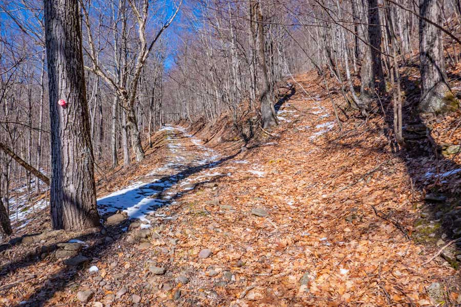 Lost Clove Trail to Belleayre Mountain