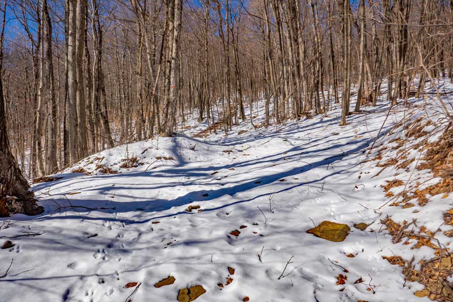 4-way trail junction on Lost Clove