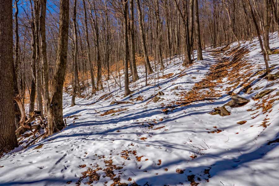 trail junction on Lost Clove Trail