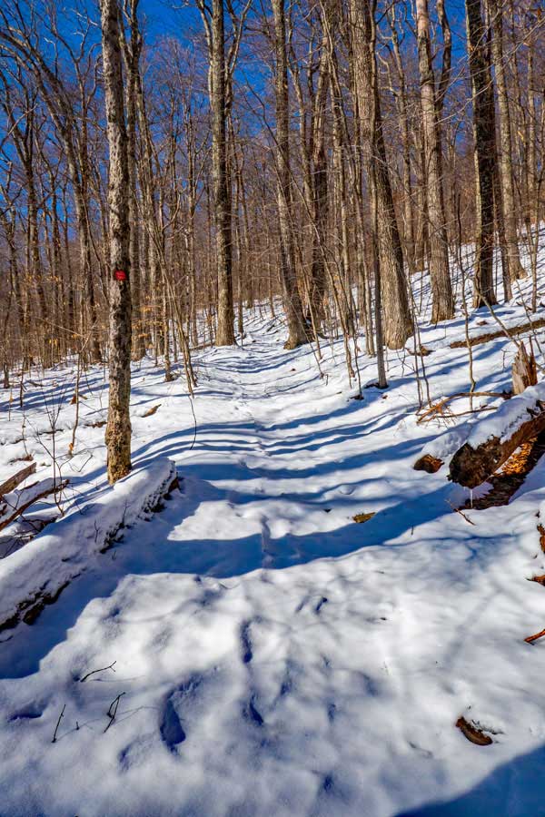 upper part of Lost Clove Trail