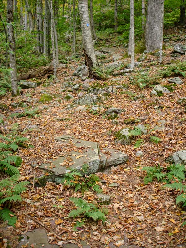 beginning of trail for the Big Indian Mountain
